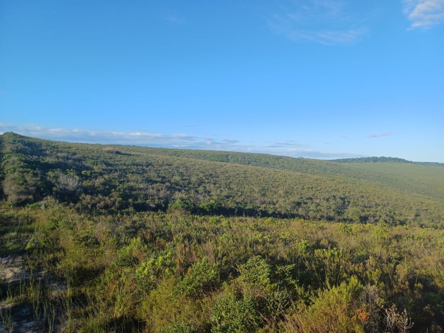 4 Bedroom Property for Sale in Stilbaai Rural Western Cape
